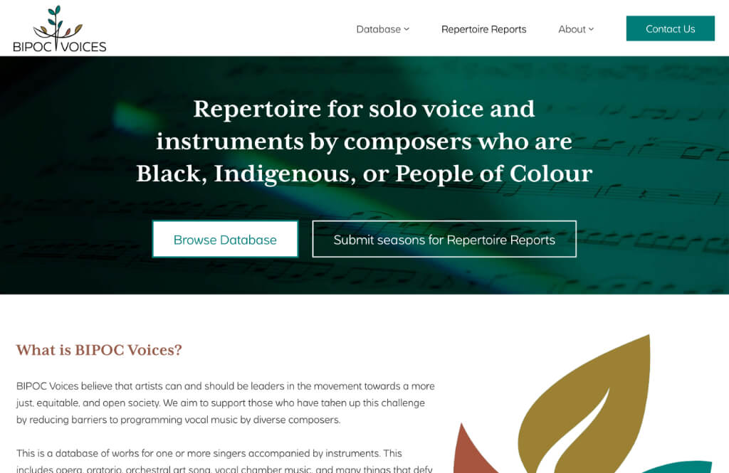 BIPOC Voices home page screenshot.