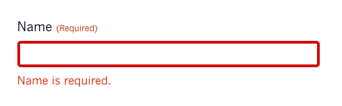 Thick red border around a required name field with the error text in red below it.